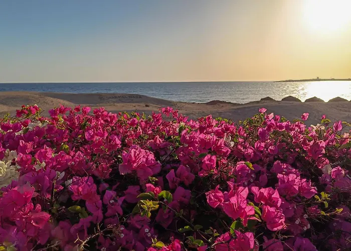 Sharm El Naga And Diving Center Kemping Gurdaka