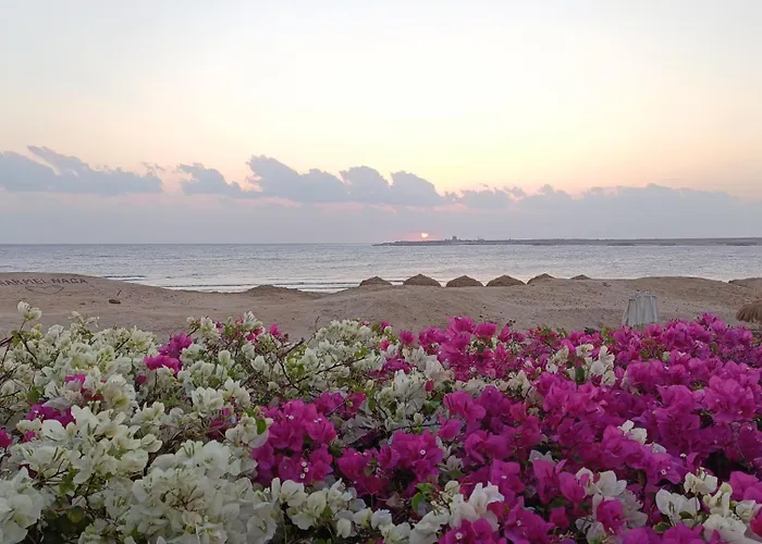 Sharm El Naga And Diving Center