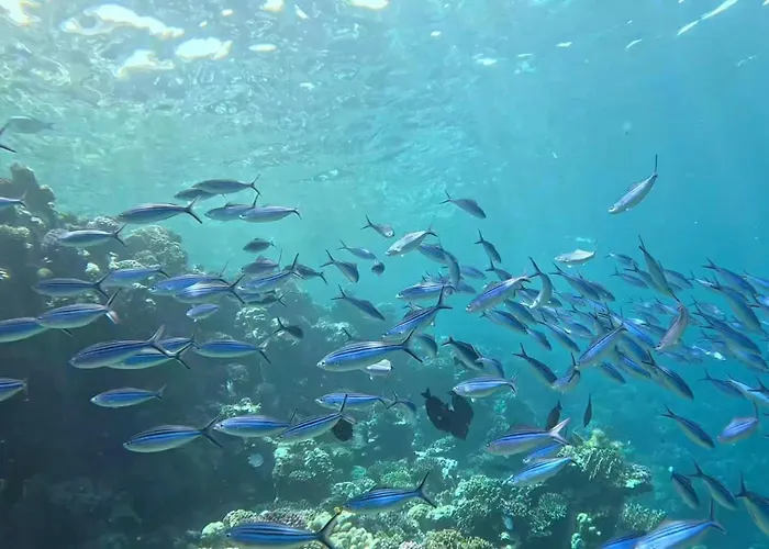 Sharm El Naga And Diving Center