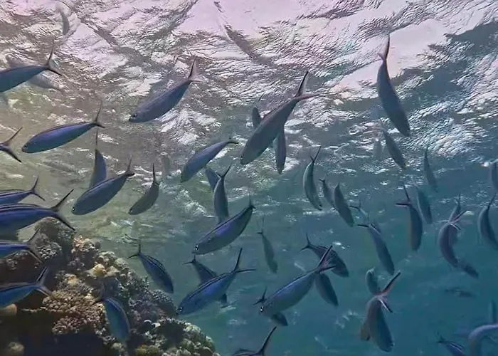 Sharm El Naga And Diving Center Kemping
