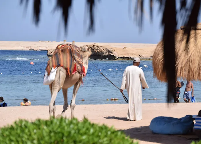Kemping Sharm El Naga And Diving Center Gurdaka