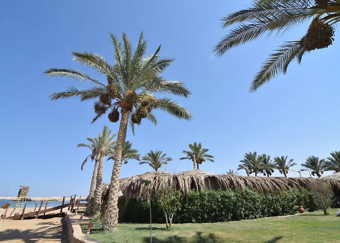 营地 Sharm El Naga And Diving Center 洪加達