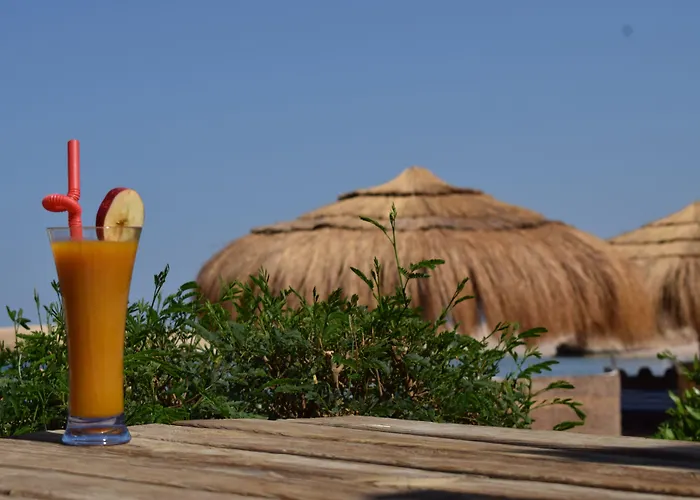 Sharm El Naga And Diving Center 3*