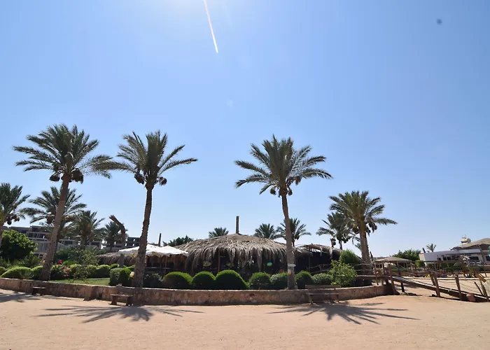 Sharm El Naga And Diving Center 洪加達