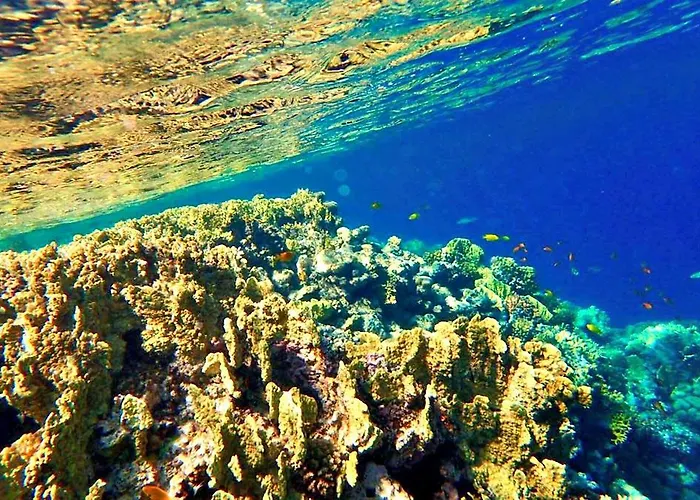 Sharm El Naga And Diving Center 营地