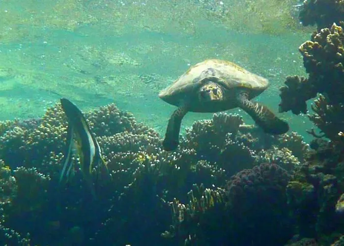 营地 Sharm El Naga And Diving Center 3*