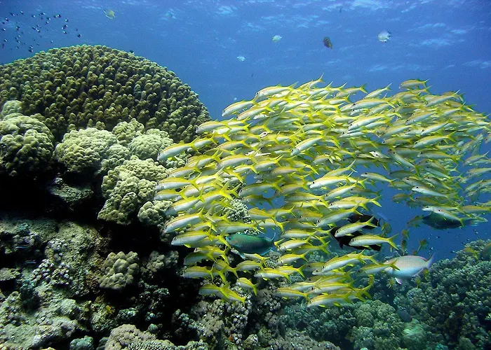 Sharm El Naga And Diving Center 3* 洪加達